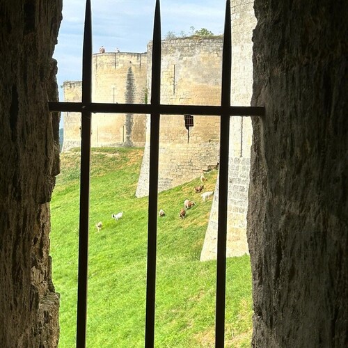 Large house in the countryside, ideal for family or business stays!