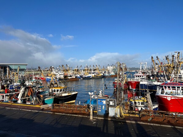 House | Marina - Dog Friendly Brixham Cottage, 3 Minutes to Harbour (Brixham)