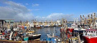 Dog Friendly Brixham Cottage, 3 Minutes to Harbour