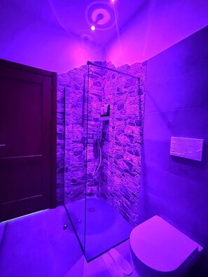 Shower, hair dryer, bidet, towels - Roman luxury location, St. Peter's (Roma)