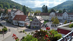 Unclassified image, 3 of 21, button - Hotel Harzer am Kurpark (Bad Herrenalb)