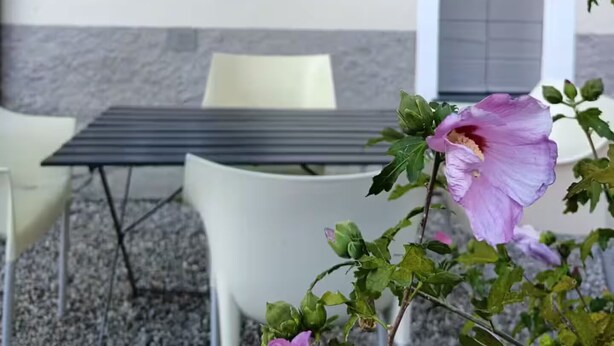 Un área de estar al aire libre con una mesa y sillas, una sombrilla verde, y un edificio con una puerta y ventanas al fondo.