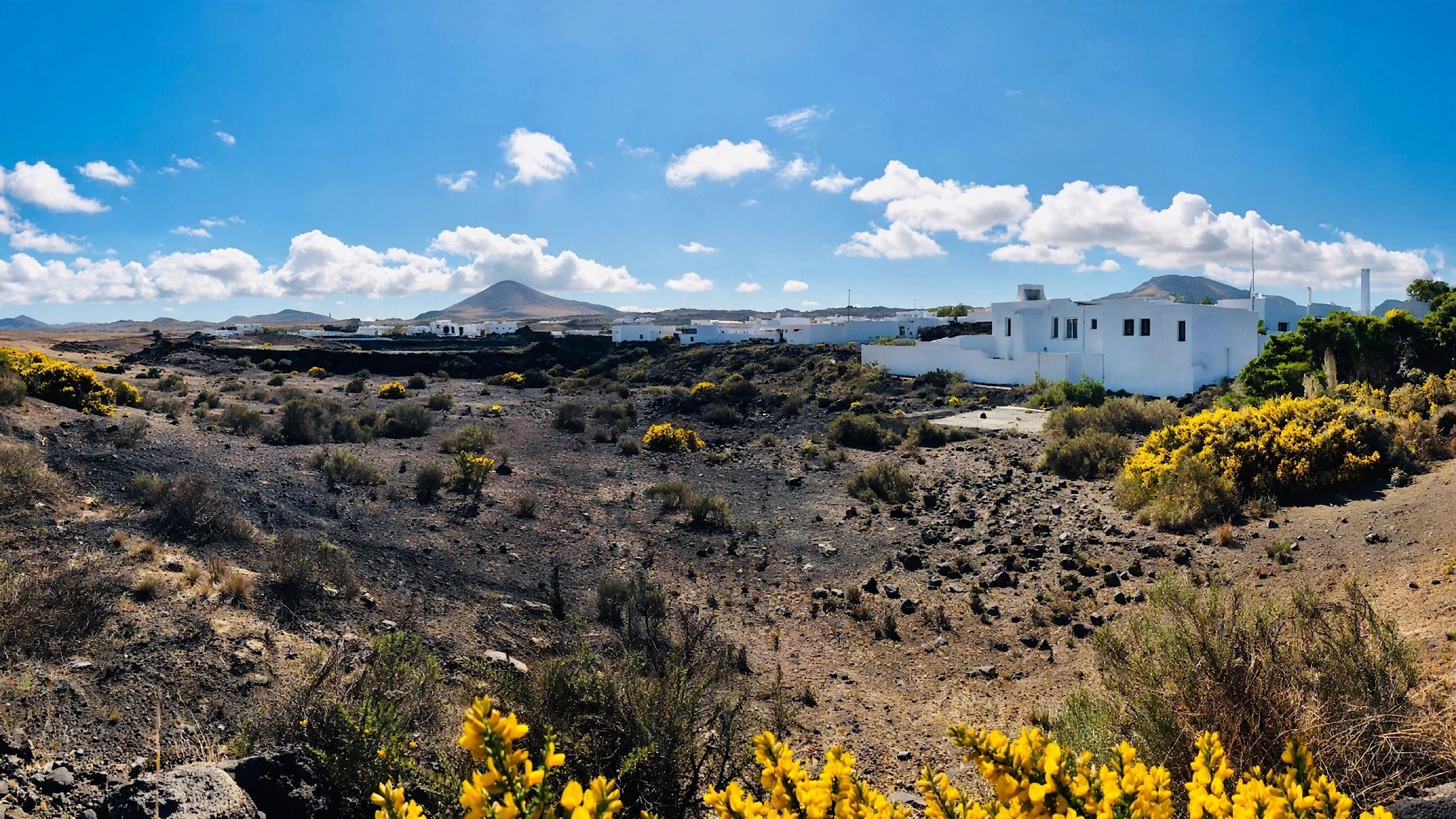 A barren landscape with scattered vegetation and white buildings.