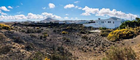 A barren landscape with scattered vegetation and white buildings.