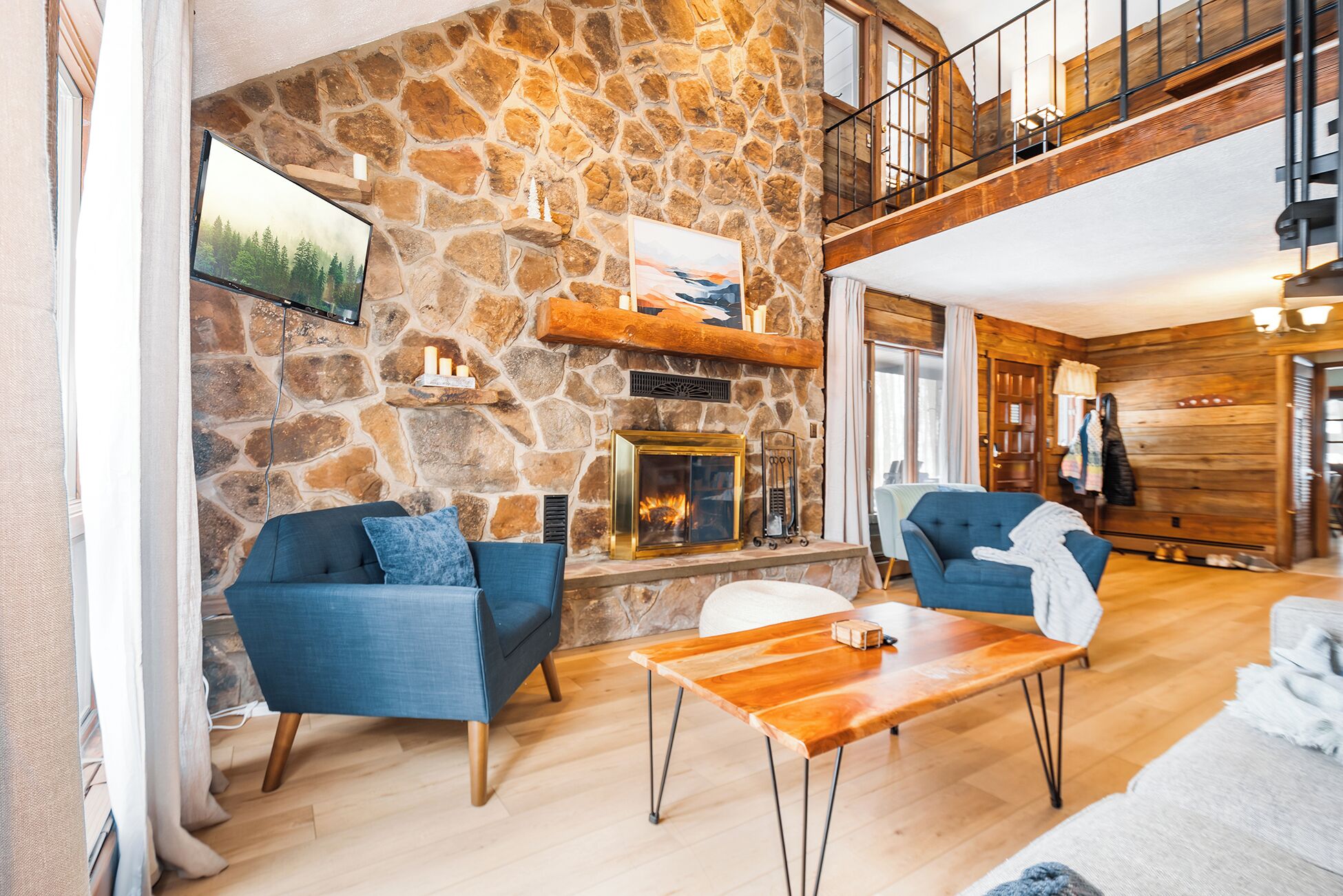 Smart TV, fireplace, books