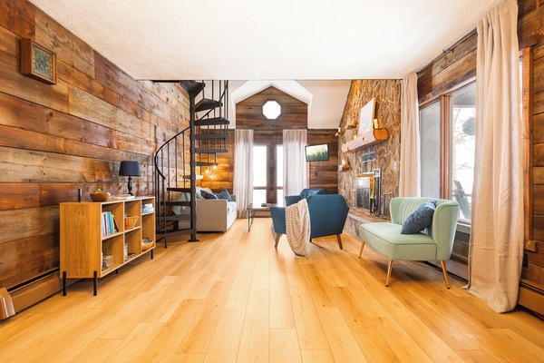 Smart-tv, pejs, bøger