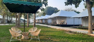 Servicio de la propiedad