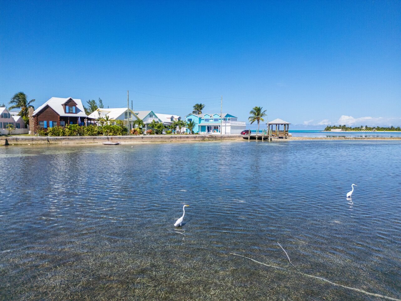 A coastal area with clear water, two white birds, and houses along the shore.