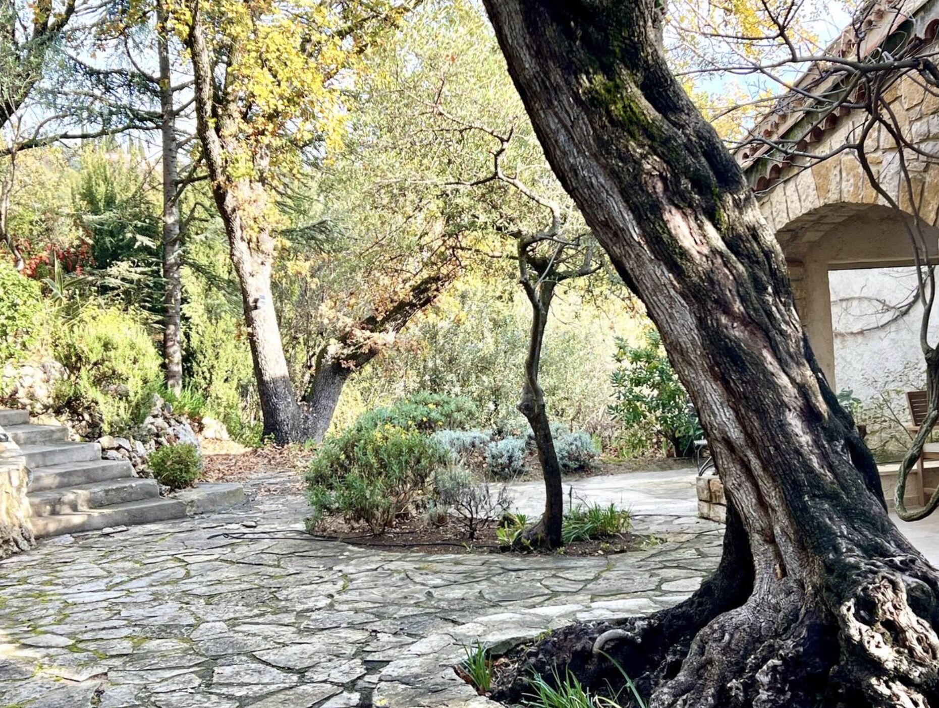 Terrein van de accommodatie