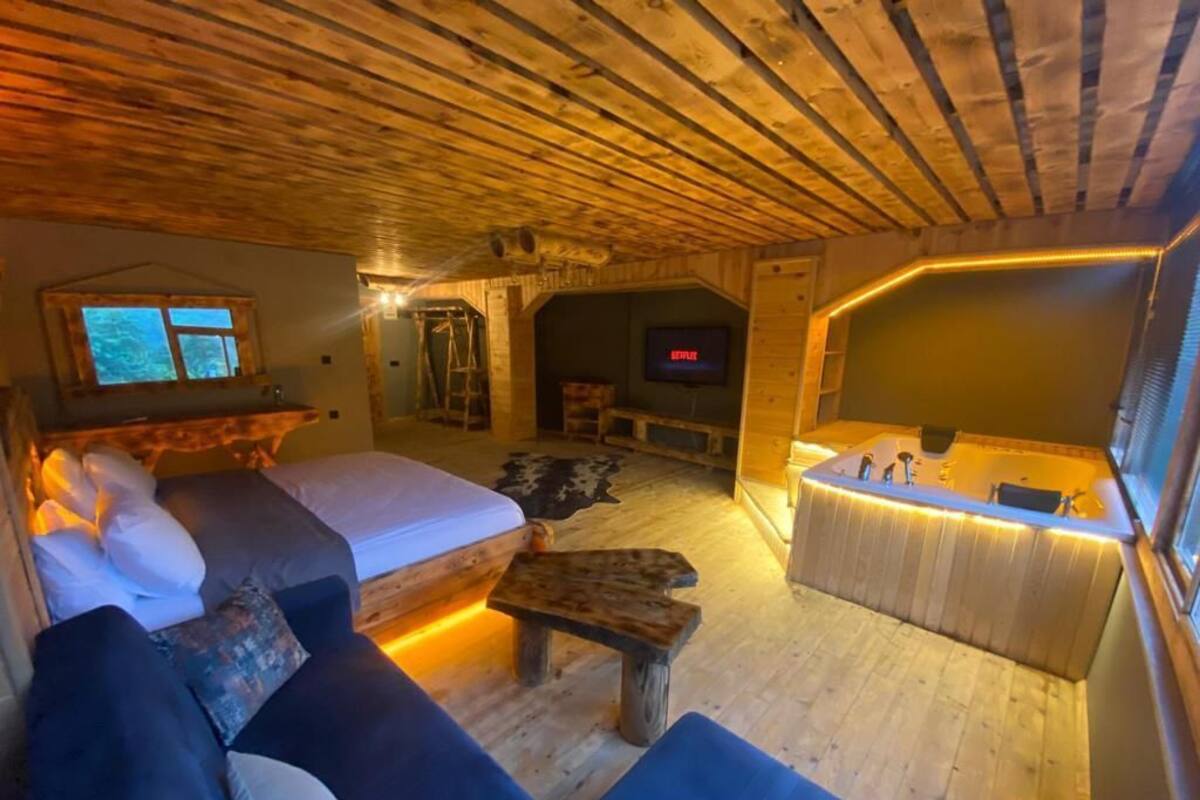 A cozy wooden interior with a bed, sofa, and a small table. A TV is mounted on the wall, and a fireplace is visible in the background.
