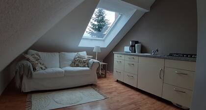 Quiet and centrally located apartment on the top floor of an old villa