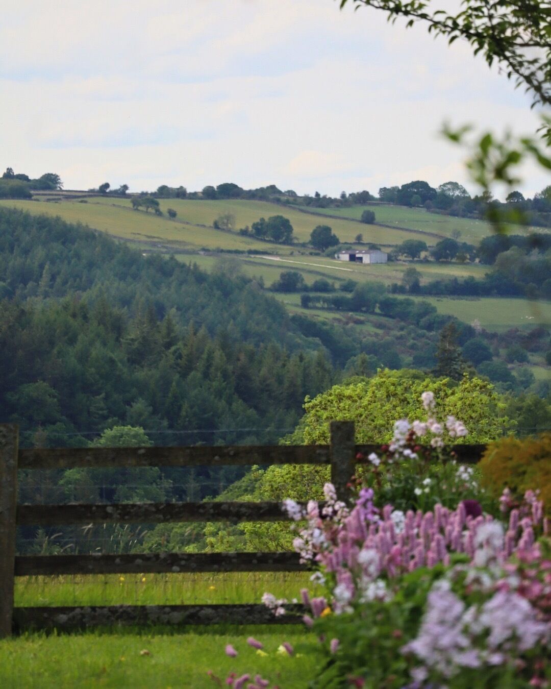 A rural landscape with rolling hills, a wooden fence, and a white building in the distance.
