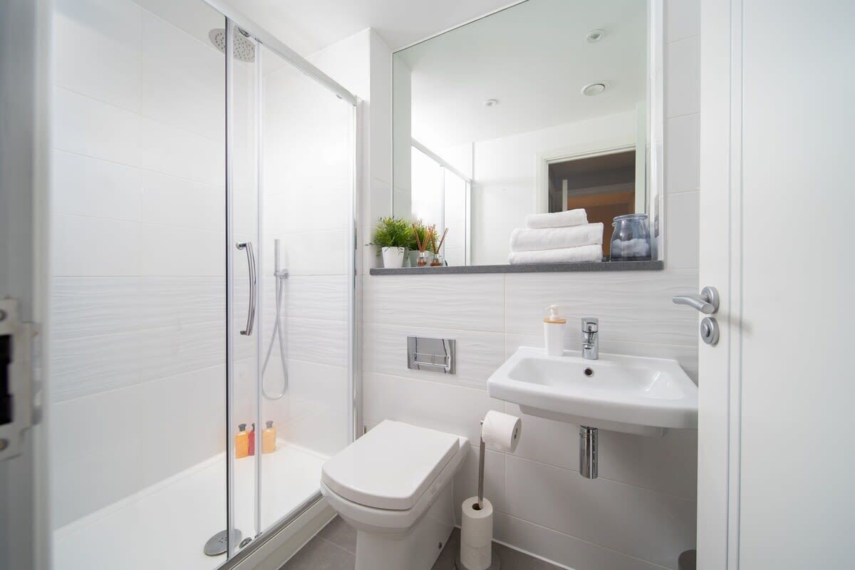Shower, hair dryer, towels