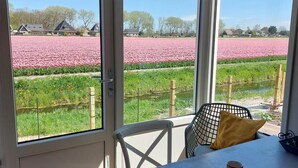 House | View from property - Modern Bungalow Close to Beach With Views (Sint Maartensvlotbrug)