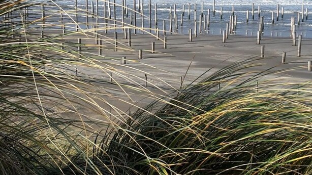 A beach with a concrete walkway and wooden posts, leading to the ocean. - Modern Bungalow Close to Beach With Views (Sint Maartensvlotbrug)