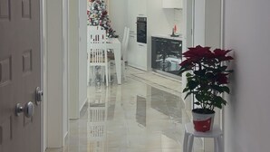 A modern hallway with a glossy tiled floor, a Christmas tree, and a potted plant.