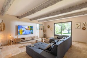 TV, fireplace, DVD player, books - Private Oasis. A Stroll to Maillane-Few minutes to Saint Remy (Saint-Rémy-de-Provence)