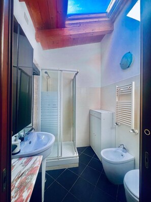 Shower, hair dryer, bidet, towels