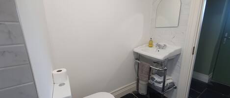 Une salle de bain avec des toilettes, un lavabo et un miroir.