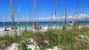 Studio (5 Bedrooms) | Ăquipement de lâhĂ©bergement