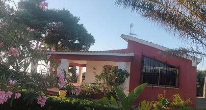 Villa Posidonie at 100 mt on the beach