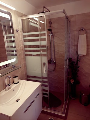 Shower, hair dryer, bidet, towels