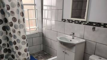 SĂšche-cheveux, savon, papier toilette