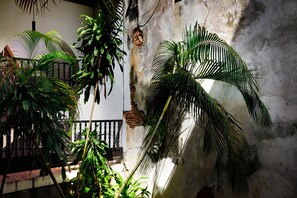 Un patio con varias palmeras y un muro de hormigón.