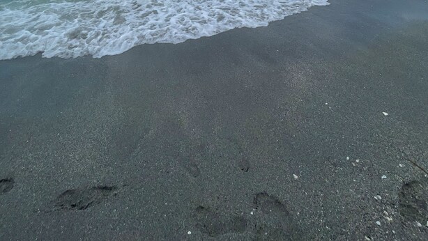 Una playa con agua azul cristalina y una orilla arenosa.
