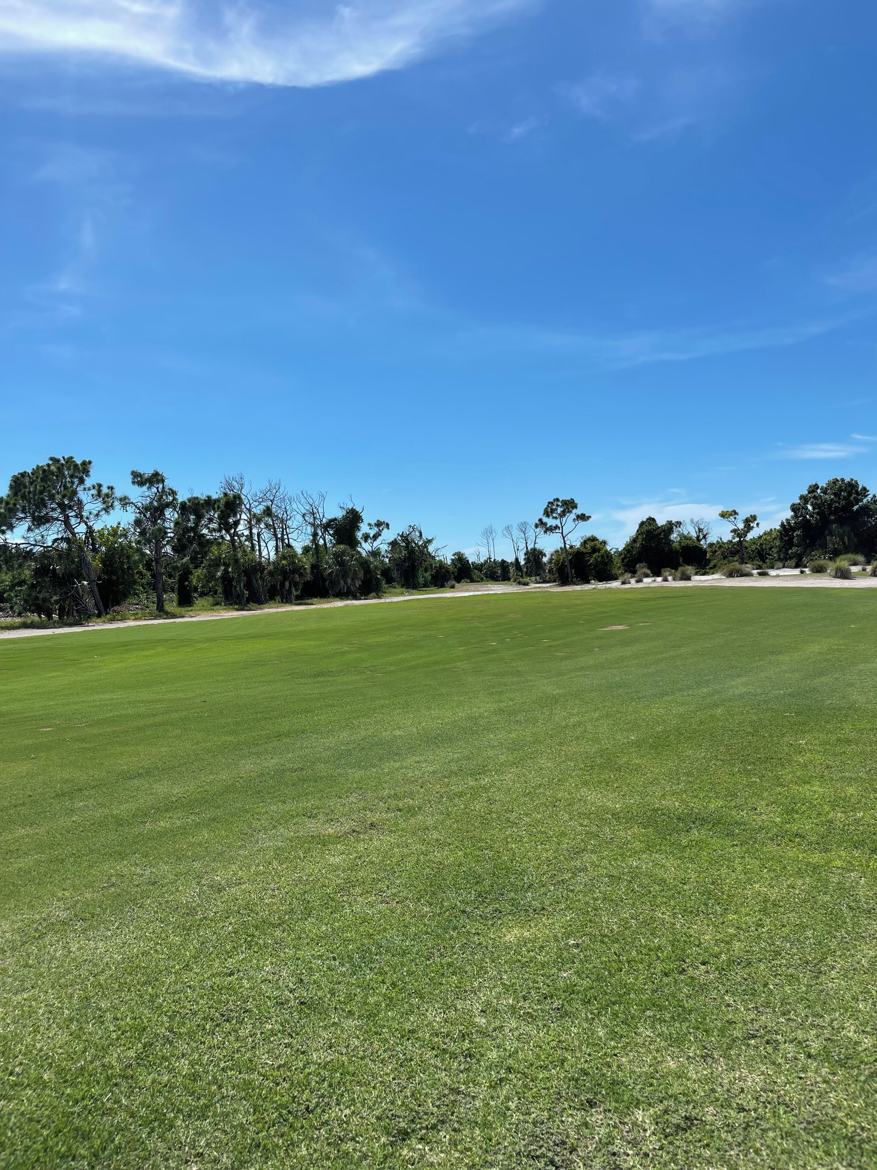 A wide, open grassy field with a clear blue sky and scattered trees in the background.