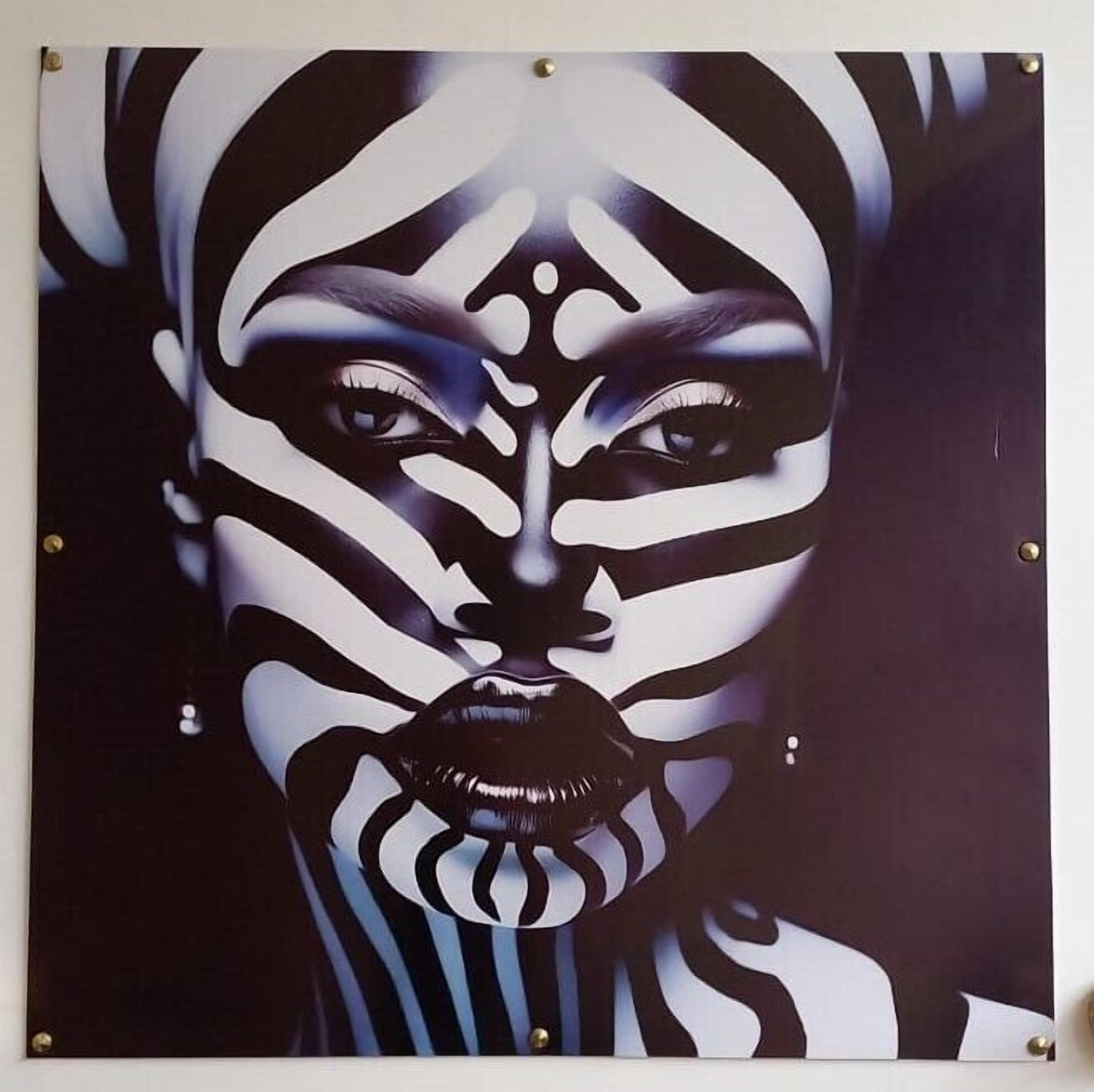 Ein gerahmtes Kunstwerk mit Zebra-Streifen.