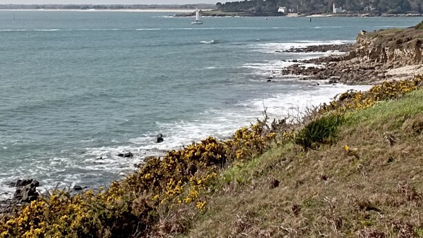A coastal landscape with a lighthouse, rocky shoreline, and sparse vegetation.