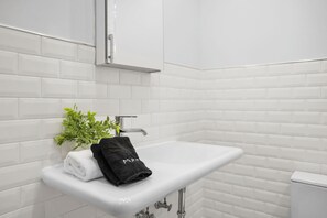 Assecador de cabells, tovalloles i paper higiènic 