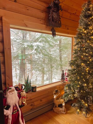 Interior - Charming Log Cabin in Lake George (Lake George)