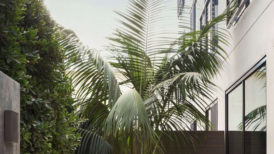 The Bower Coronado