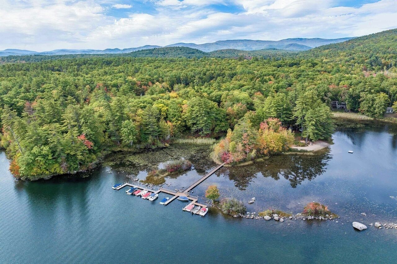An aerial view of a lake surrounded by dense forest with a dock and boats.