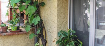 La casina di mezzo - Tiny House