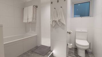 Hair dryer, towels, shampoo, toilet paper