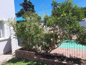Property grounds - Neat 3 bedroom house in tranquil setting in Rondebosch (Cape Town)