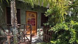 Una casa tradizionale con una porta in legno, pareti in pietra e un piccolo giardino con una palma e una pianta in vaso.