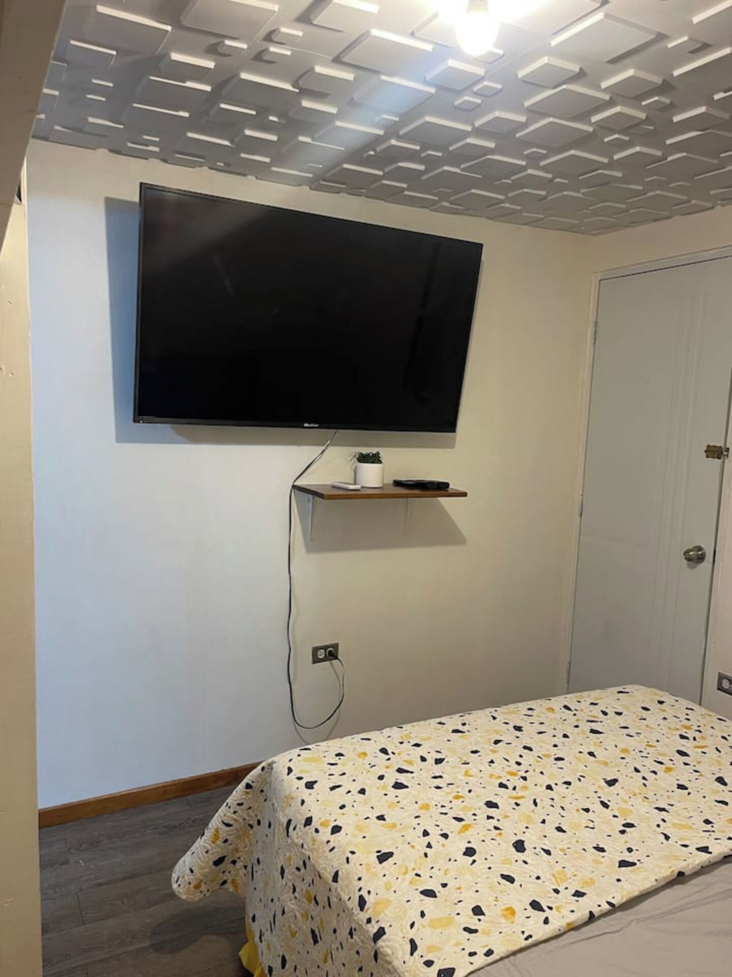 Una stanza con un letto, una televisione a muro, un piccolo ripiano con una pianta e una porta.