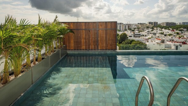 Piscina infinita en la azotea con un fondo de paneles de madera, rodeada de plantas de palma.