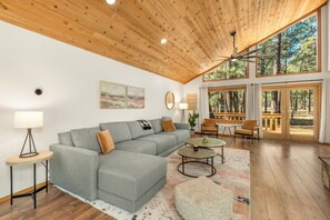 Smart TV, fireplace, books, music library