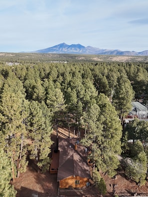 Aerial view - Pinewood Lodge / Backs to Forest / Near Downtown! (Flagstaff)