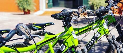 A row of bicycles parked in front of a building with a green door and a sign that reads "Quinta da Bicuda."
