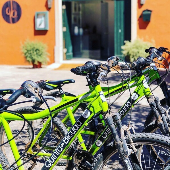 Varias bicicletas estacionadas frente a un edificio con una puerta verde y un letrero que dice "Quinta da Bicuda".