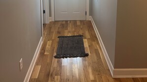 Un pasillo con suelo de madera, alfombra oscura y una puerta blanca con paneles de vidrio.