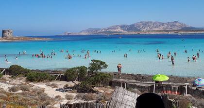 Seafront Villa "La Marianna"