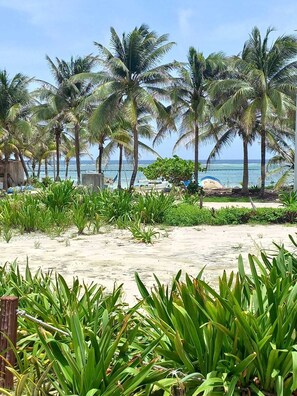 Exterior - Cabañas Palmeras de Mahahual (Mahahual)