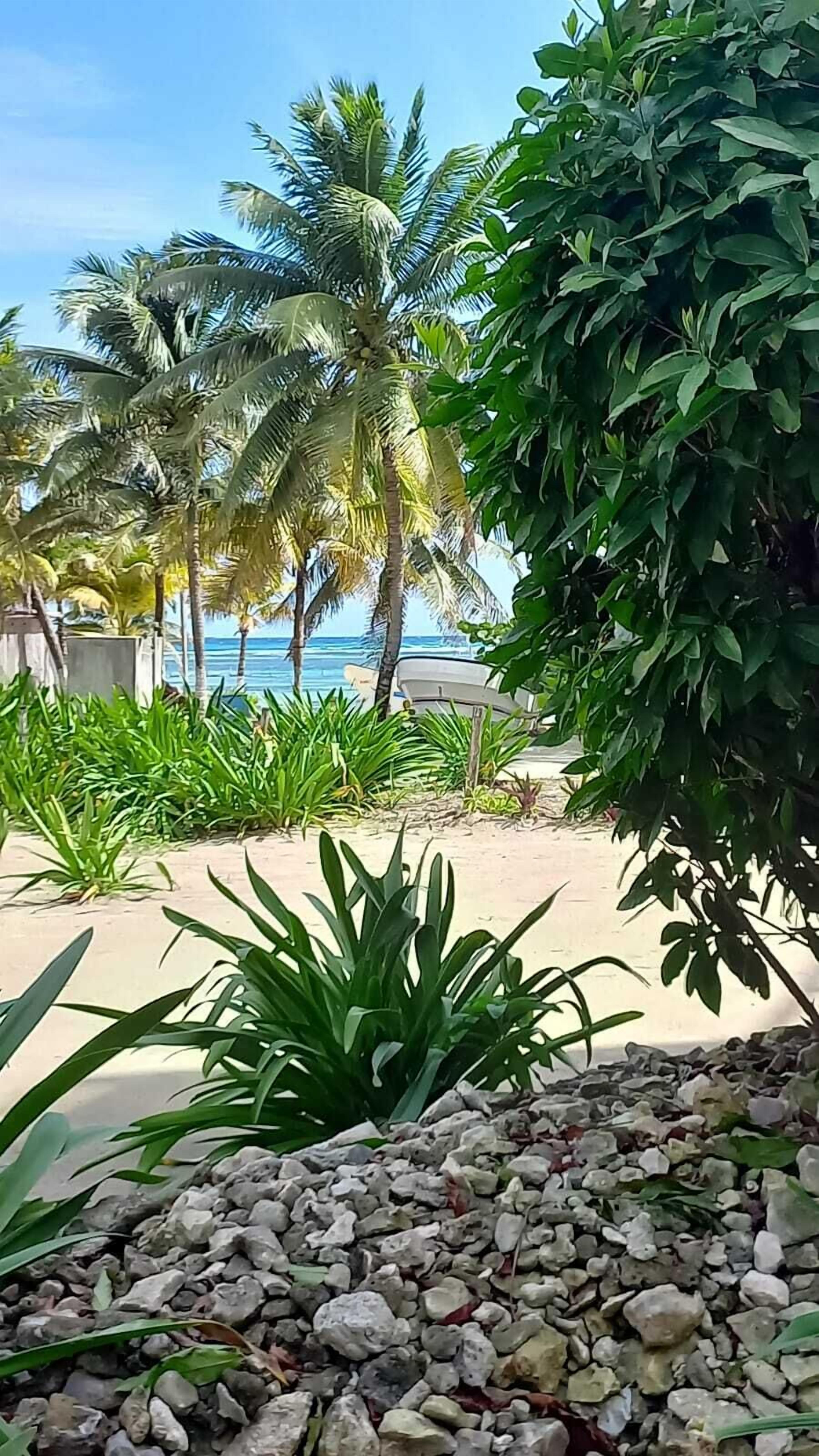 Photo - Cabañas Palmeras de Mahahual